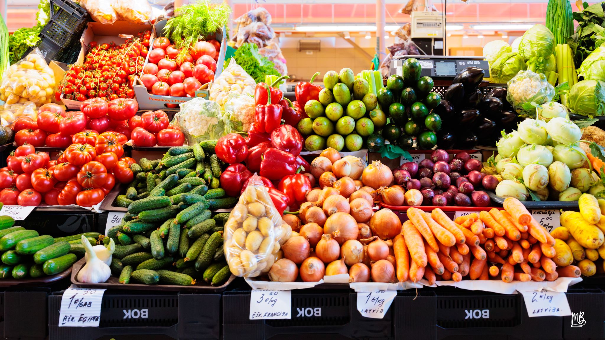 2024   Riga   MB 226